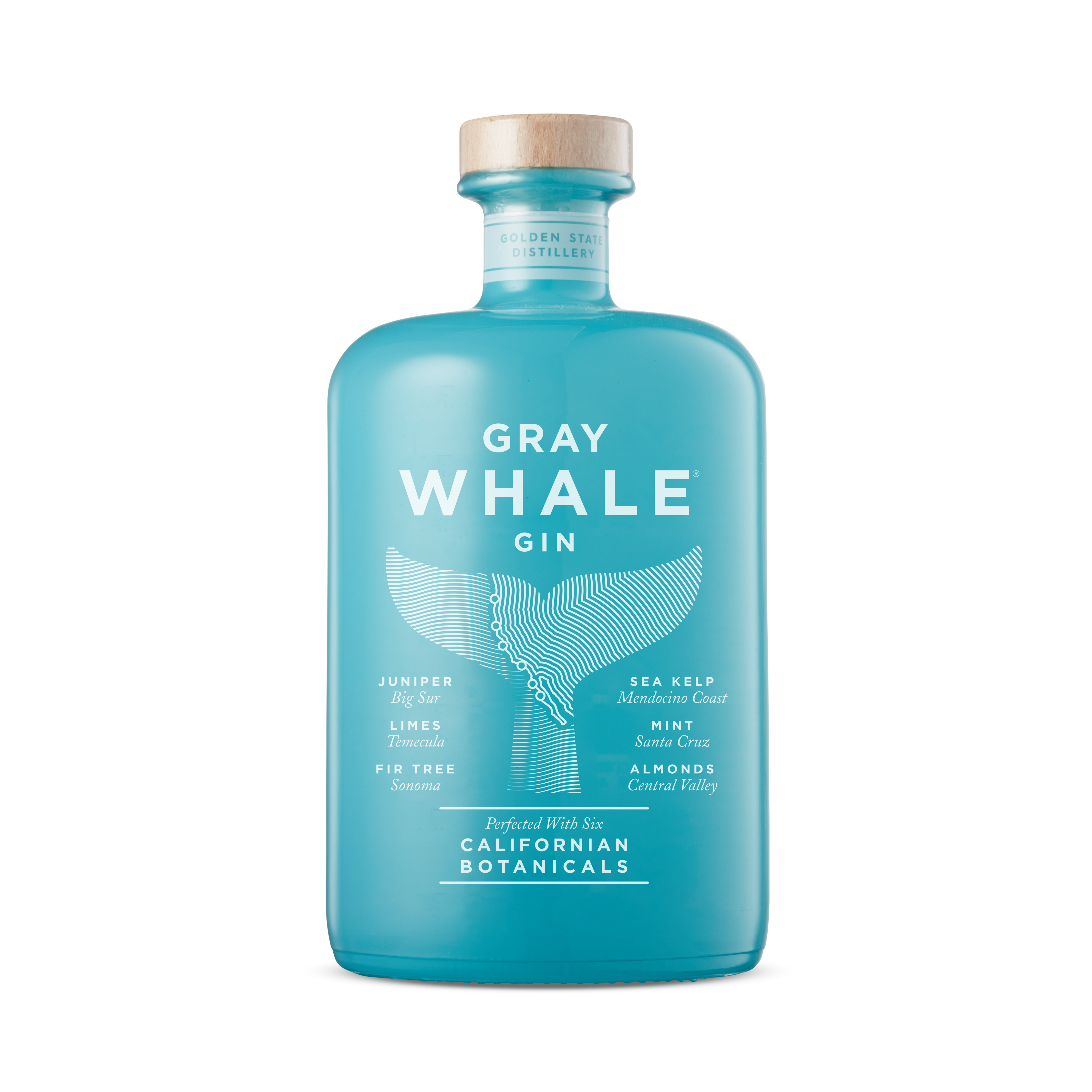 Gray Whale